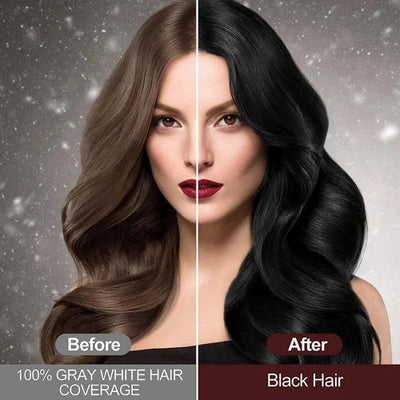 3 in 1  Hair DYE shampoo